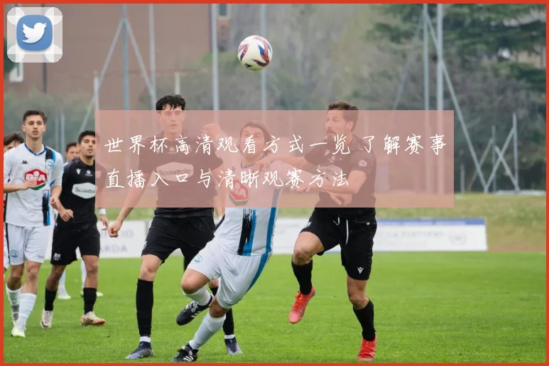 世界杯高清观看方式一览 了解赛事直播入口与清晰观赛方法