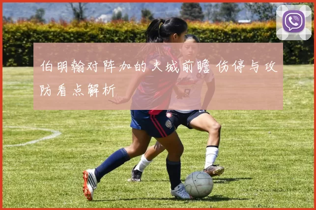 伯明翰对阵加的夫城前瞻 伤停与攻防看点解析