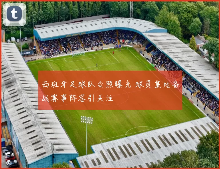 西班牙足球队合照曝光 球员集结备战赛事阵容引关注